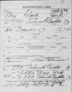 registration card