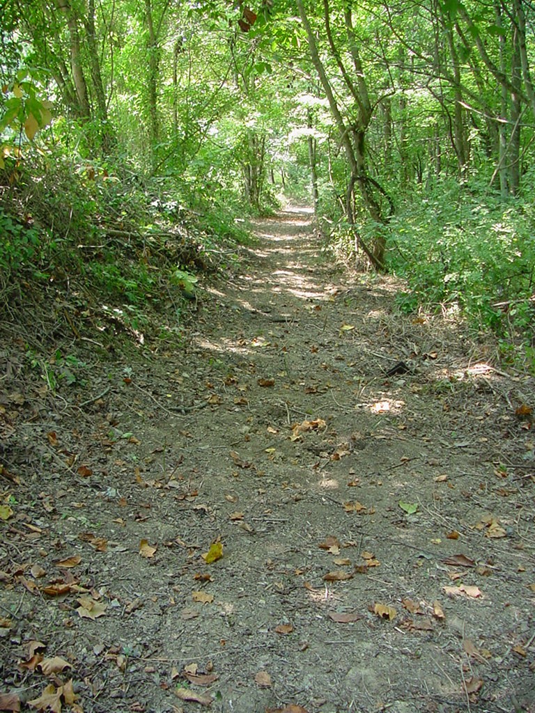 Trail_Construction_Aug_20_2008_02.JPG