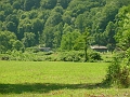 Aden_500_meadow_at_east_end_of_Binion_trail_segment