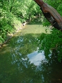 Fultz_to_Denton_017