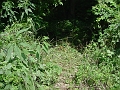Fultz_to_Denton_016d