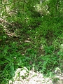 Fultz_to_Denton_016e