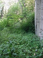 DSC00141_east_abutment_of_bridge_3