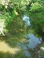 DSC00146_bridge_3