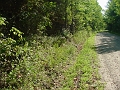 DSC00149_looking_east_from_bridge_3