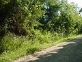 DSC00152_east_of_constriction_east_of_bridge_3