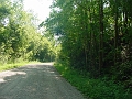 DSC00153_east_of_constriction_east_of_bridge_3