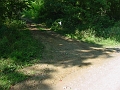 DSC00154_farm_road_east_of_constriction