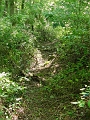 DSC00160_cleared_approach_to_west_abutment_of_bidge_2