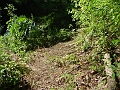 DSC00162_cleared_west_abutment_of_bidge_2