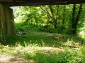 DSC00167_cleared_east_abutment_of_bidge_2