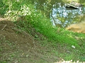 DSC00169_cleared_east_abutment_of_bidge_2