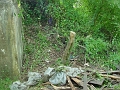 DSC00172_south_side_of_east_abutment_of_bidge_2