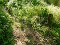 DSC00173_north_side_of_east_abutment_of_bidge_2
