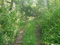 DSC00174_north_side_of_east_abutment_of_bidge_2