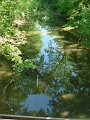 DSC00177_looking_north_from_bridge_2
