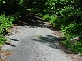 Four_Mile_to_Leon_13