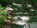 Four_Mile_to_Leon_14