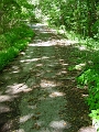 Four_Mile_to_Leon_14b
