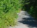 Four_Mile_to_Leon_16