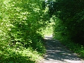 Four_Mile_to_Leon_17