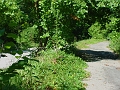 Four_Mile_to_Leon_18