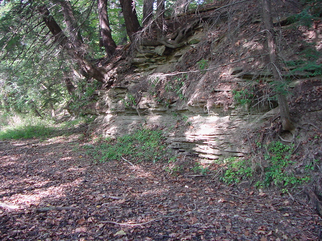 DSC00131.JPG