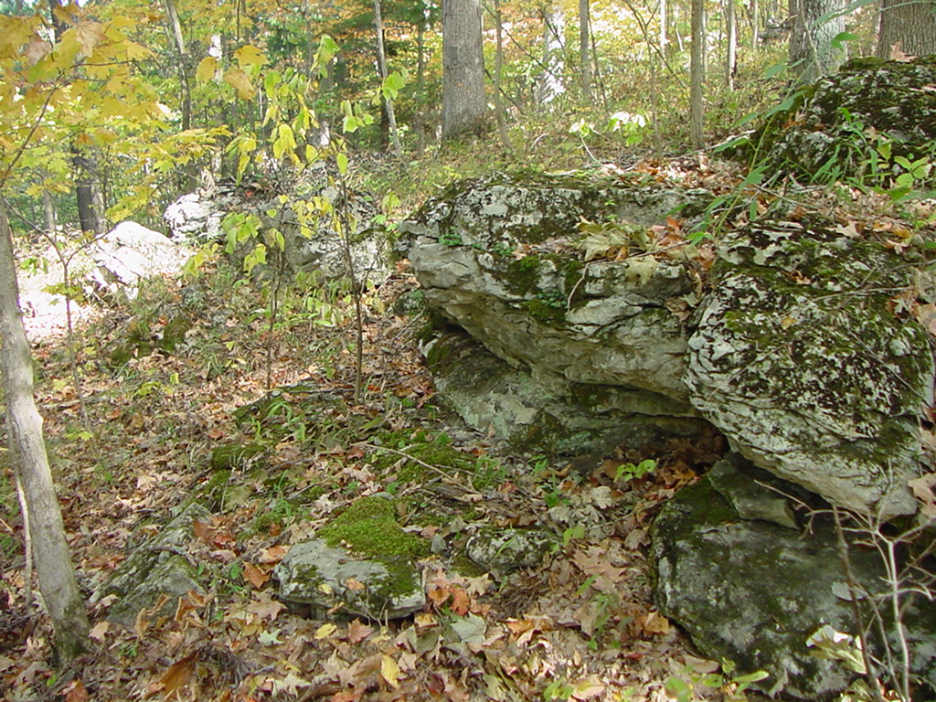 DSC00141.JPG