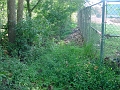 Hayes_property_Sept_18_2008_01