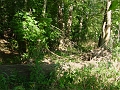 Hayes_property_Sept_18_2008_02