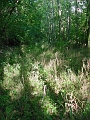Hayes_property_Sept_18_2008_04