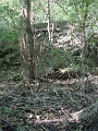 Hayes_property_Sept_18_2008_05