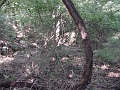 Hayes_property_Sept_18_2008_06