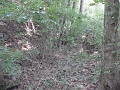 Hayes_property_Sept_18_2008_07