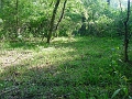 Hayes_property_Sept_18_2008_08