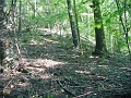 Hayes_property_Sept_18_2008_09