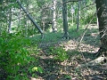 Hayes_property_Sept_18_2008_10