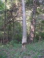 Hayes_property_Sept_18_2008_11