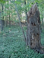 Hayes_property_Sept_18_2008_23
