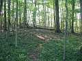 Hayes_property_Sept_18_2008_24
