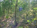 Hayes_property_Sept_18_2008_28