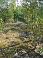 Hayes_property_Sept_18_2008_29