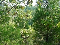 Hayes_property_Sept_18_2008_31