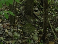 Hayes_property_Sept_18_2008_32