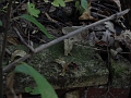 Hayes_property_Sept_18_2008_33
