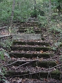 Hayes_property_Sept_18_2008_37