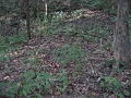 Hayes_property_Sept_18_2008_38