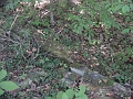 Hayes_property_Sept_18_2008_41