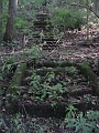 Hayes_property_Sept_18_2008_46