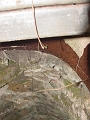 Hayes_property_zOct_14_2008_2